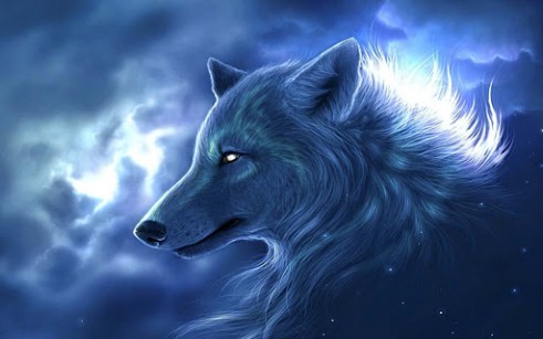 user profile image