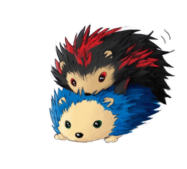 user profile image