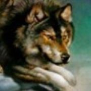 user profile image