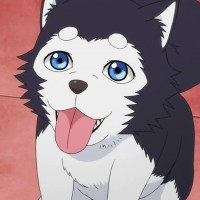 user profile image